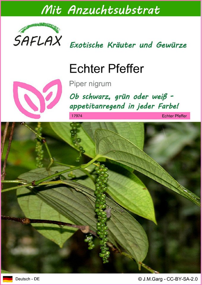 SAFLAX Kräutersamen SAFLAX - Samen und Substrat - Echter Pfeffer Bild 4