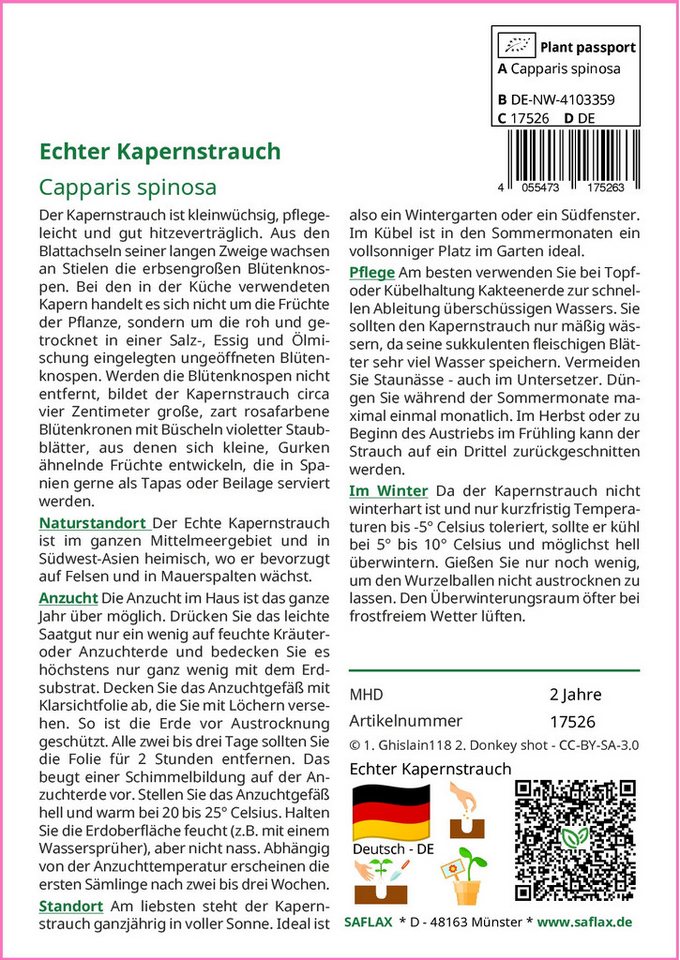 SAFLAX Kräutersamen SAFLAX - Samen und Substrat - Echter Kapernstrauch Bild 2