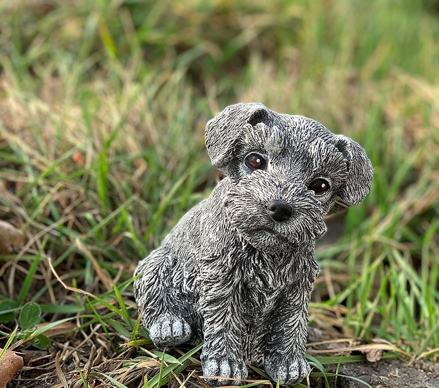 Stone and Style Gartenfigur Frostfeste Steinfigur Hund Schnauzer Bild 4