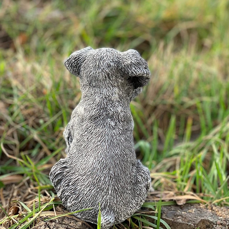 Stone and Style Gartenfigur Frostfeste Steinfigur Hund Schnauzer Bild 5