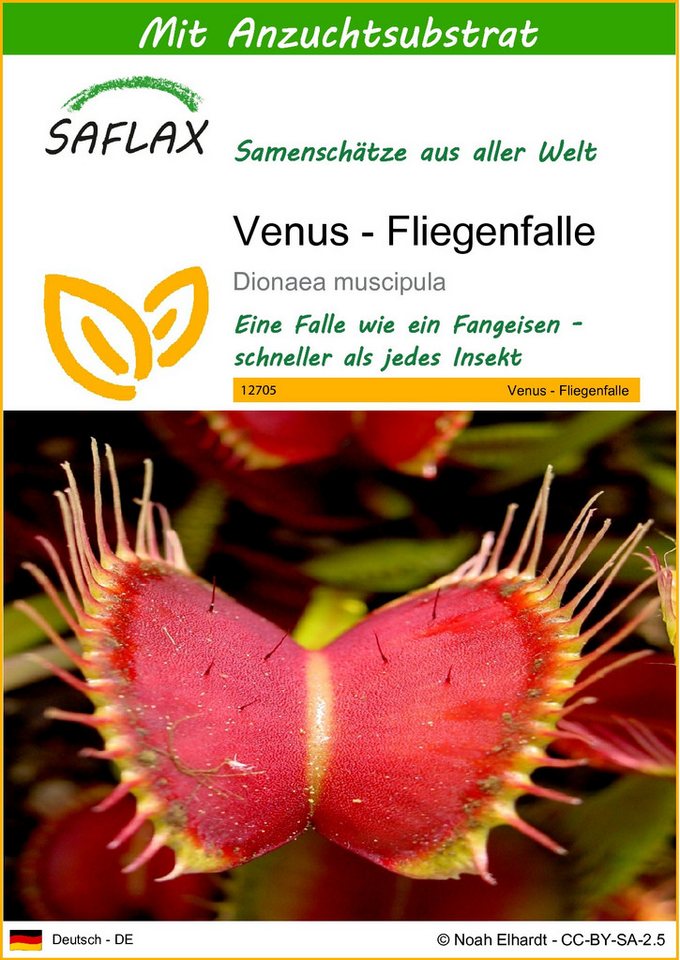 SAFLAX Blumensamen SAFLAX - Samen und Substrat - Venus - Fliegenfalle Bild 5