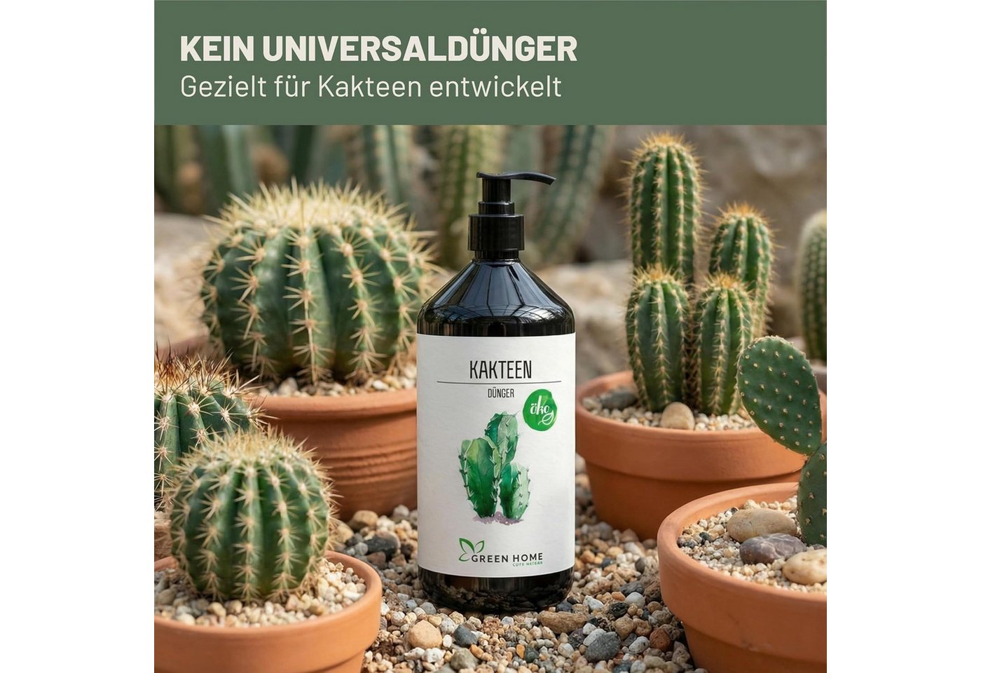 GREEN HOME LOVE NATURE Spezialdünger Kakteen- & Sukkulentendünger flüssig NPK 7+3+5, Spurennährstoffe, Kakteen, NPK 7+3+5, Spurennährstoffe, chelatiert, Dosierpumpe
