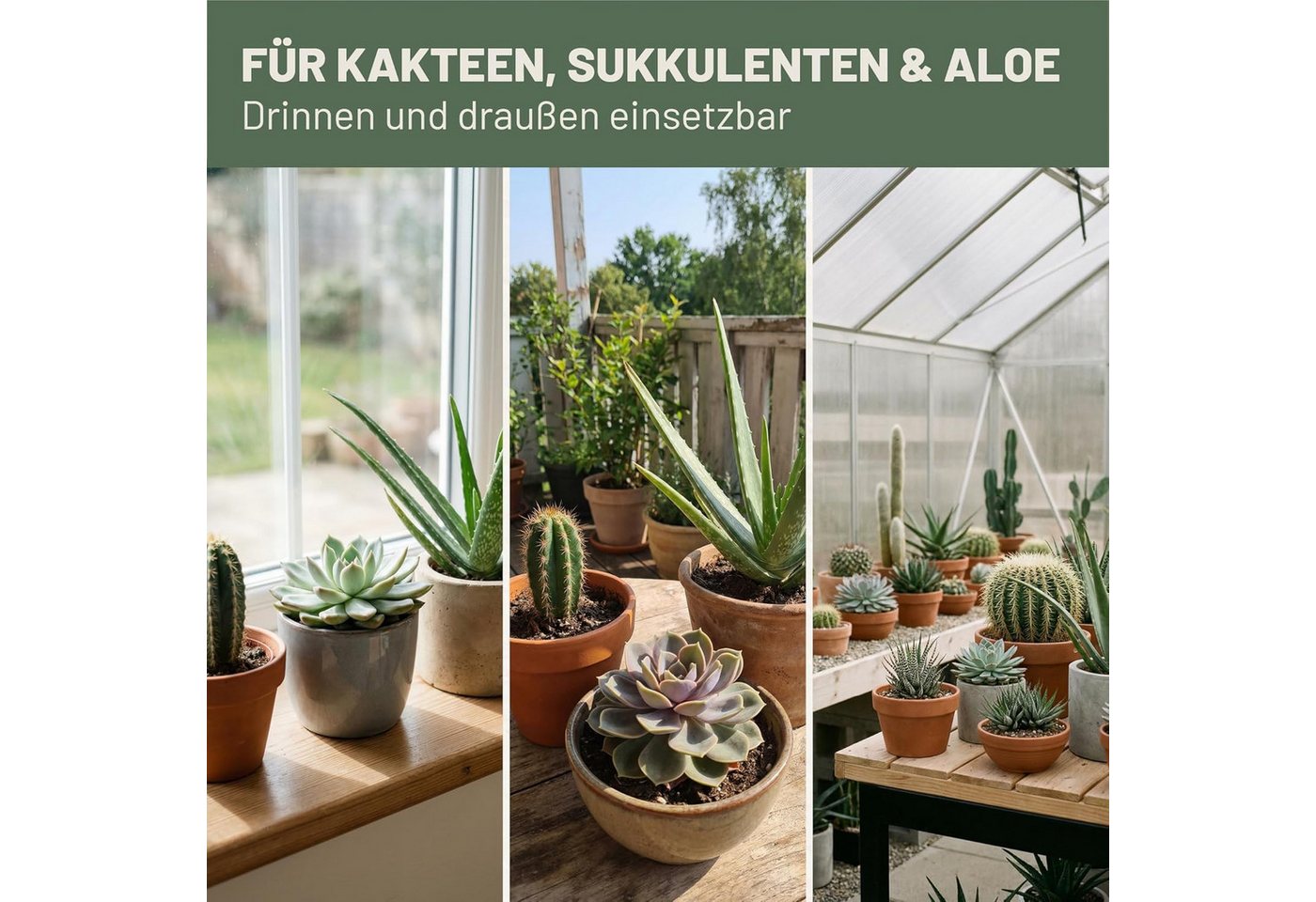 GREEN HOME LOVE NATURE Spezialdünger Kakteen- & Sukkulentendünger flüssig NPK 7+3+5, Spurennährstoffe, Kakteen, NPK 7+3+5, Spurennährstoffe, chelatiert, Dosierpumpe Bild 2