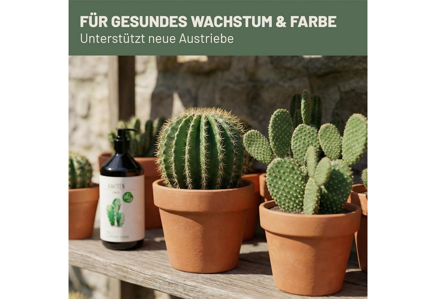 GREEN HOME LOVE NATURE Spezialdünger Kakteen- & Sukkulentendünger flüssig NPK 7+3+5, Spurennährstoffe, Kakteen, NPK 7+3+5, Spurennährstoffe, chelatiert, Dosierpumpe Bild 5