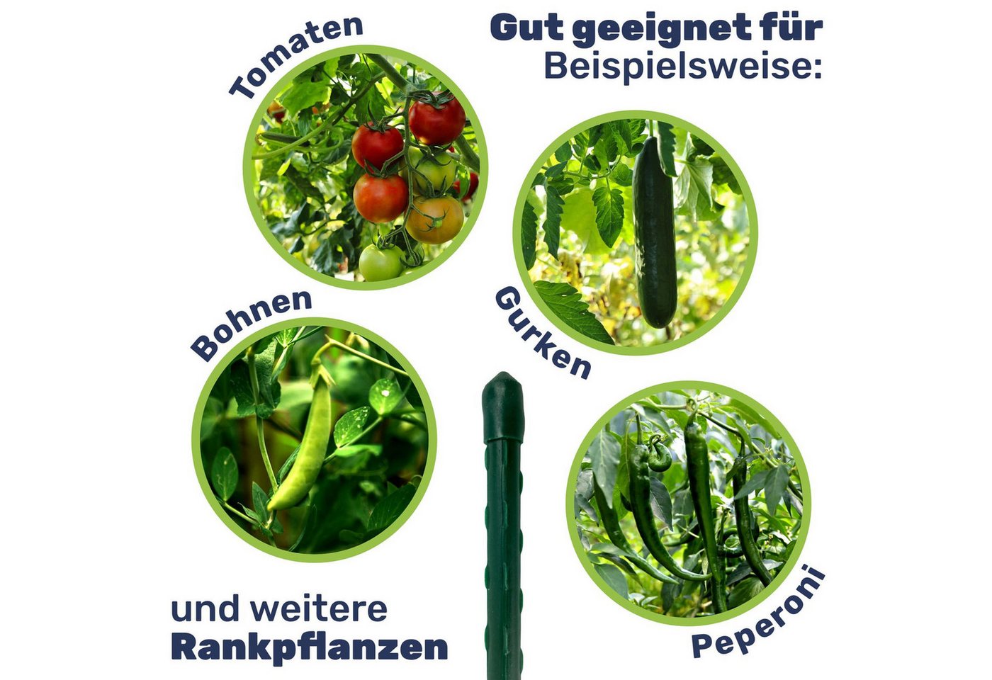 Gravidus Rankhilfe Pflanzstab Rankhilfe Stahl mit Kunststoff Ummantelung grün 90 cm, 20 St. Bild 2