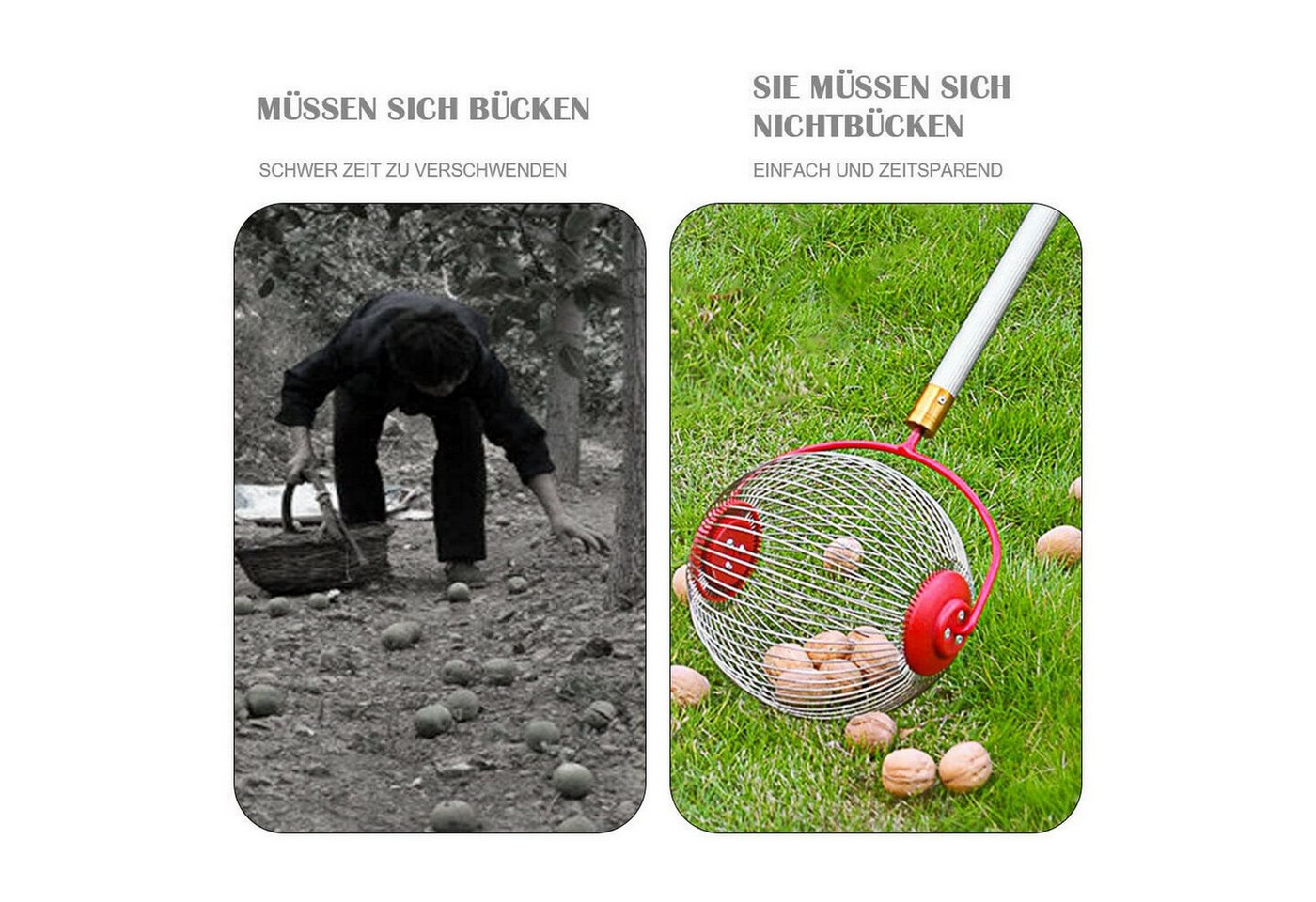 Youyijia Ballsammelröhre Obstsammler mit Verstellbarer Teleskopstange Rollsammler Nut Collector Bild 2