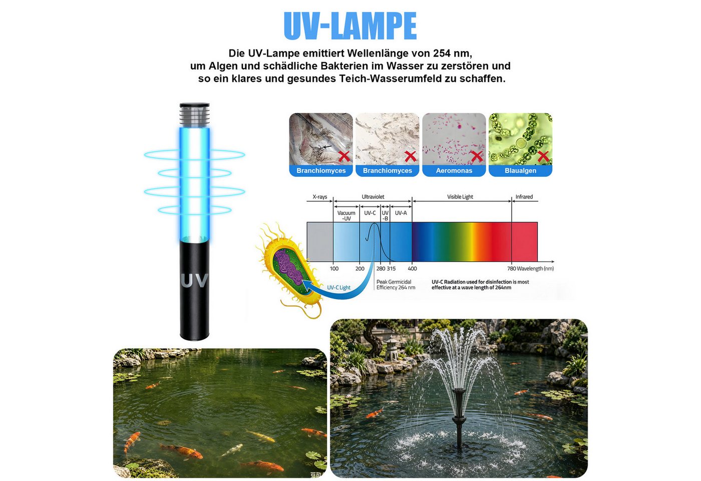 XIIW Springbrunnenpumpe RGB Gartenbrunnen Pumpe mit Teichfilter UVC-Klärer & 3 Düsen Fontäne (45W 3000L/H Wasserspielpumpe mit 6M Kabellänge), Springbrunnenpumpe für Gartenteich, Wasserfall Bild 3