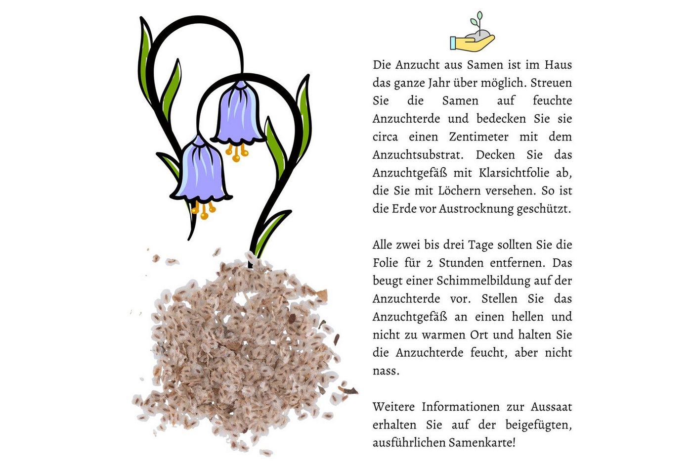 HappySeed Blumensamen Blauglockenbaum Kiribaum Samen (Paulownia tomentosa) -Schnell wachsend, schnell wachsend