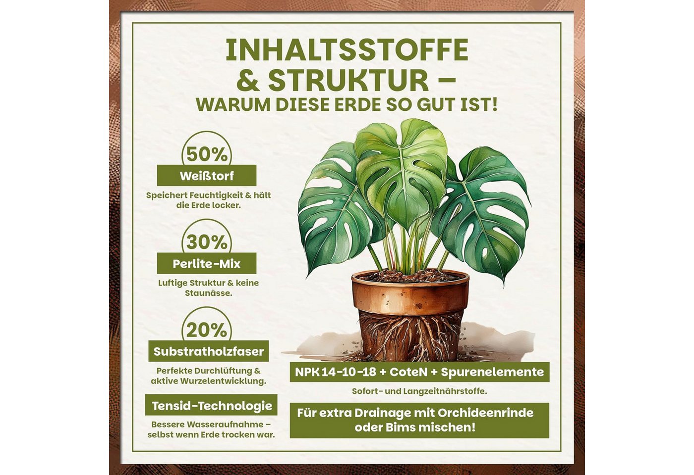 GREEN HOME LOVE NATURE Spezialerde Aroid Erde – Spezialerde für Monstera, Philodendron & Zimmerpflanzen 18 L, 36 L, 72 L, Langzeitdünger, Perlit, Kokosfasern, pH 5,8, gute Drainage