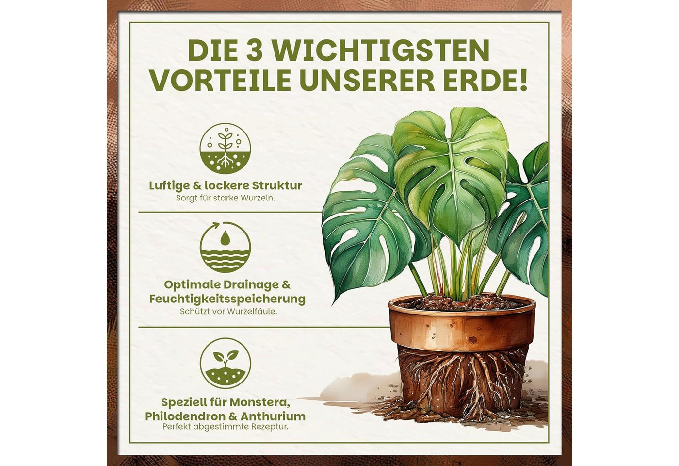GREEN HOME LOVE NATURE Spezialerde Aroid Erde – Spezialerde für Monstera, Philodendron & Zimmerpflanzen 18 L, 36 L, 72 L, Langzeitdünger, Perlit, Kokosfasern, pH 5,8, gute Drainage Bild 2