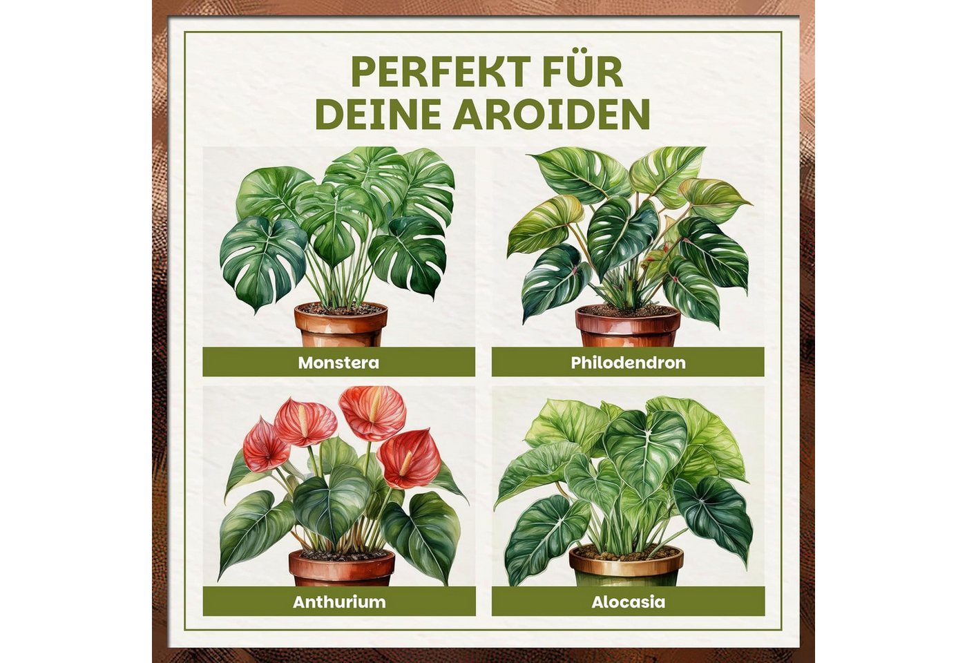 GREEN HOME LOVE NATURE Spezialerde Aroid Erde – Spezialerde für Monstera, Philodendron & Zimmerpflanzen 18 L, 36 L, 72 L, Langzeitdünger, Perlit, Kokosfasern, pH 5,8, gute Drainage Bild 5