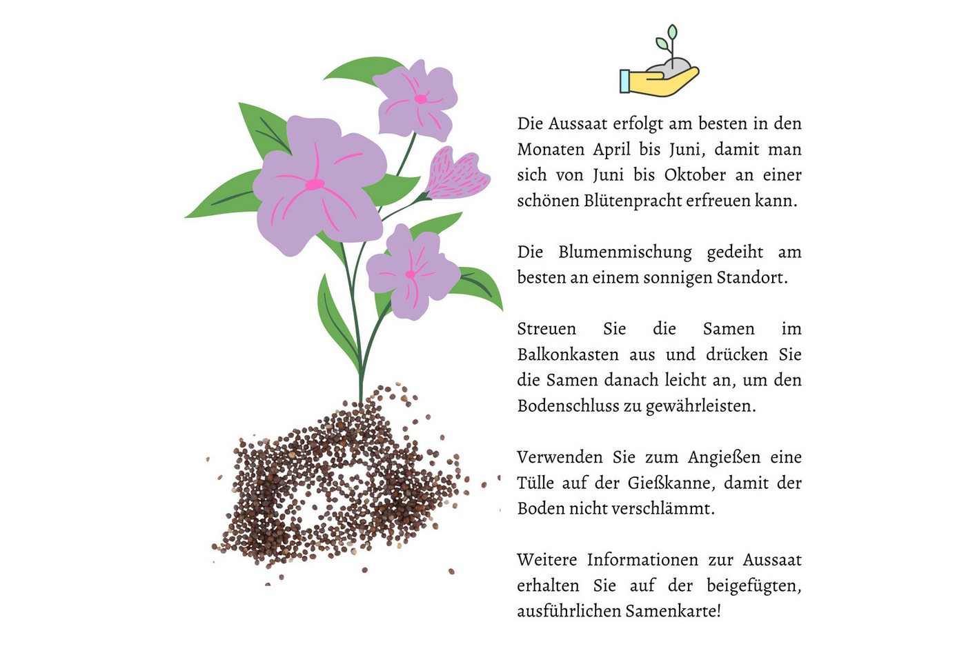 HappySeed Blumensamen Blumensamen Balkonkasten Mischung - Petunien Mix, Blumen Bild 4