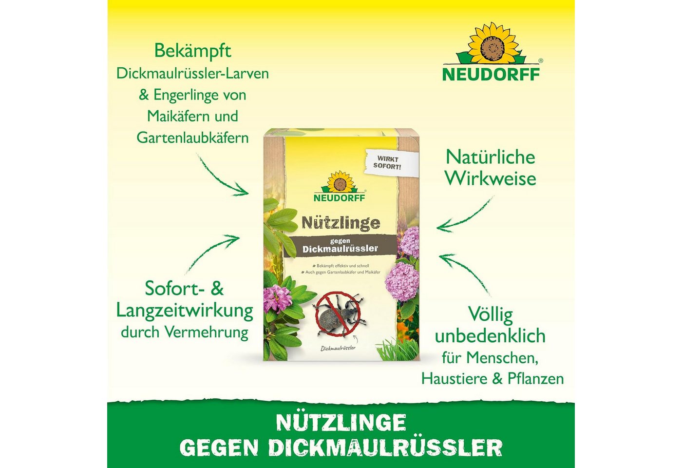 Neudorff Nematoden Nützlinge gegen Dickmaulrüssler und Engerlinge, 50 Mio. HM-Nematoden für bis zu 100 m² Bild 2