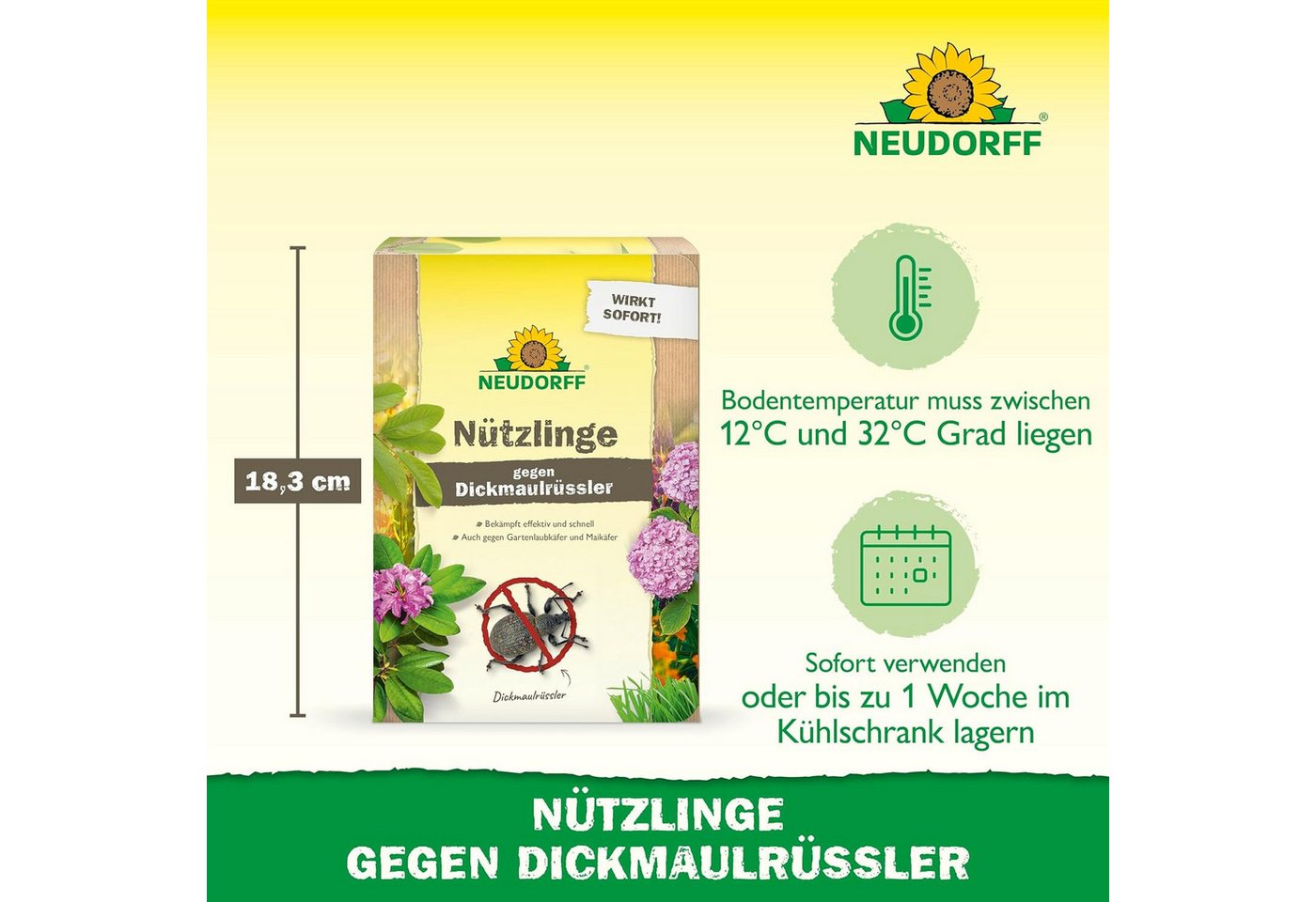 Neudorff Nematoden Nützlinge gegen Dickmaulrüssler und Engerlinge, 50 Mio. HM-Nematoden für bis zu 100 m² Bild 3