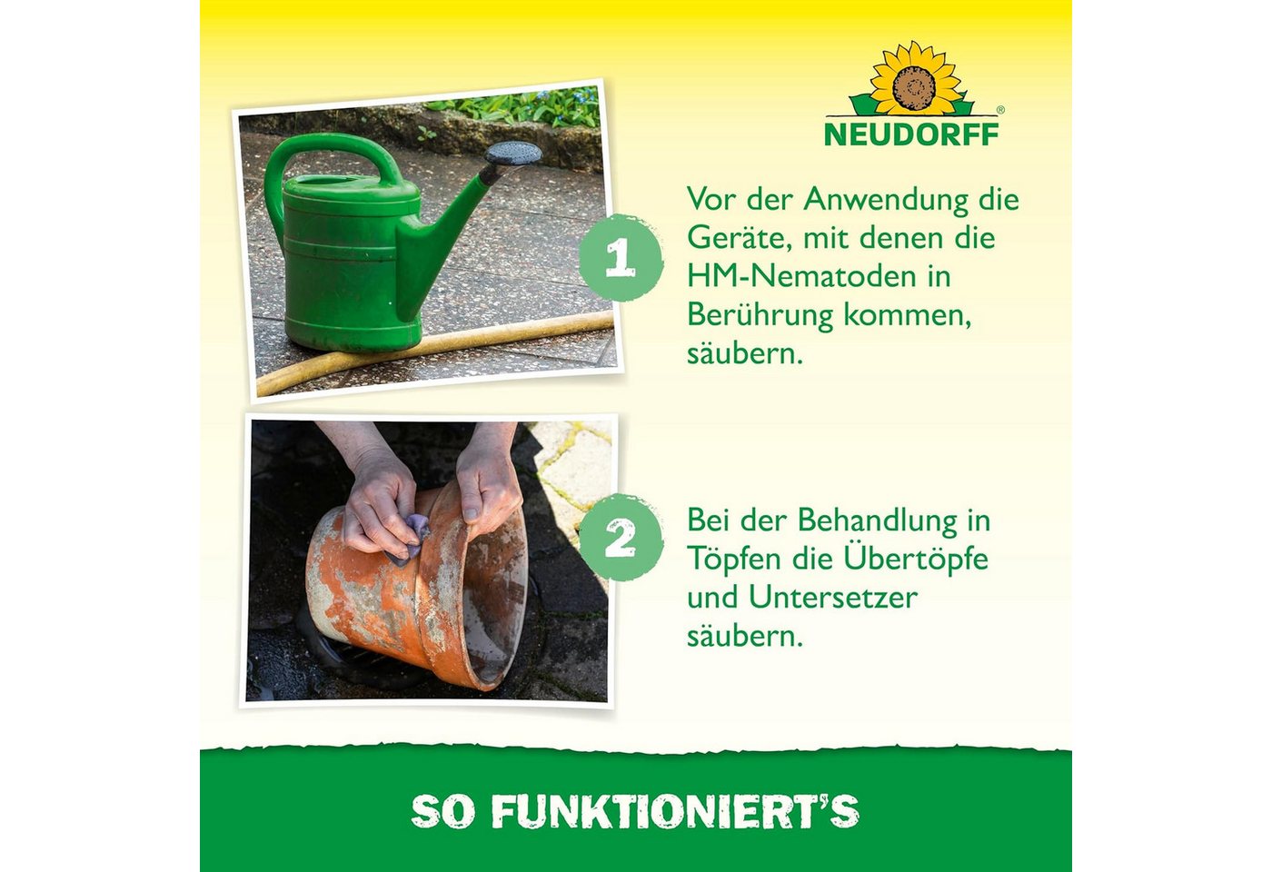 Neudorff Nematoden Nützlinge gegen Dickmaulrüssler und Engerlinge, 50 Mio. HM-Nematoden für bis zu 100 m² Bild 5