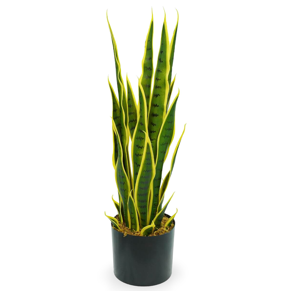 Künstliche Sansevieria Mit Topf, Realistische Kunstpflanze, 70 Cm Hoch.