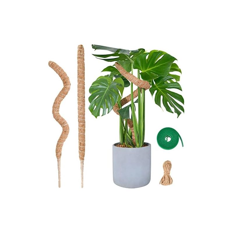 Monstera-pflanzenstütze, 60 Cm X 2 Moosstab-set Für Kletterpflanzen, Kokosfaser Für Innenräume -