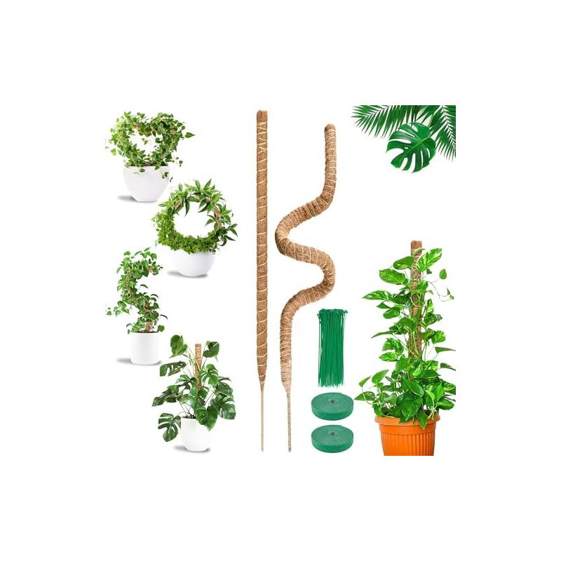Kletterstütze Für Monstera, 2 X 120 Cm. Faltbare Kokosnussstütze Für Nach Oben Wachsendes Sphagnummoos. Haus & Garten, Mit Befestigungsbändern – 120 Cm Lange Stücke.