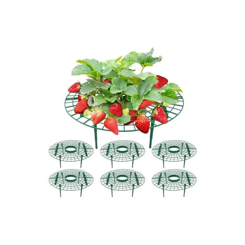 Erdbeer-rankrahmen – Set Mit 6 Abnehmbaren Stützen Für Erdbeerpflanzen, 30 X 10 Cm