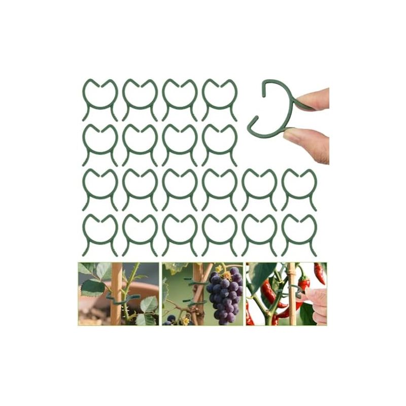 210 Pflanzenclips, Kletterpflanzen-stützclips, Stängelhalterungen (groß) - Stückzahl Groß