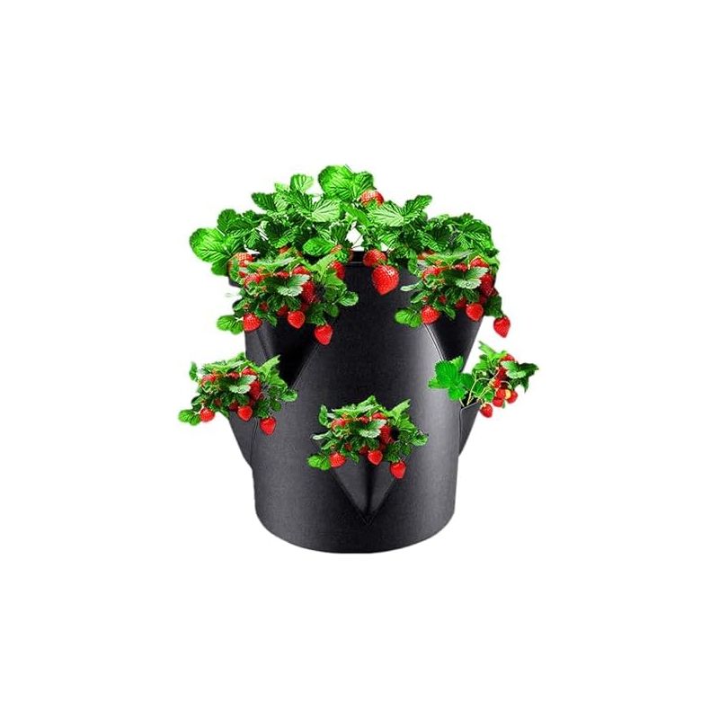 Pflanztöpfe Für Erdbeeren Im Freien Mit 6 Seitentaschen, 20-liter-gartentöpfe, Tragbar, Atmungsaktiv, Aus Vliesstoff, Für -