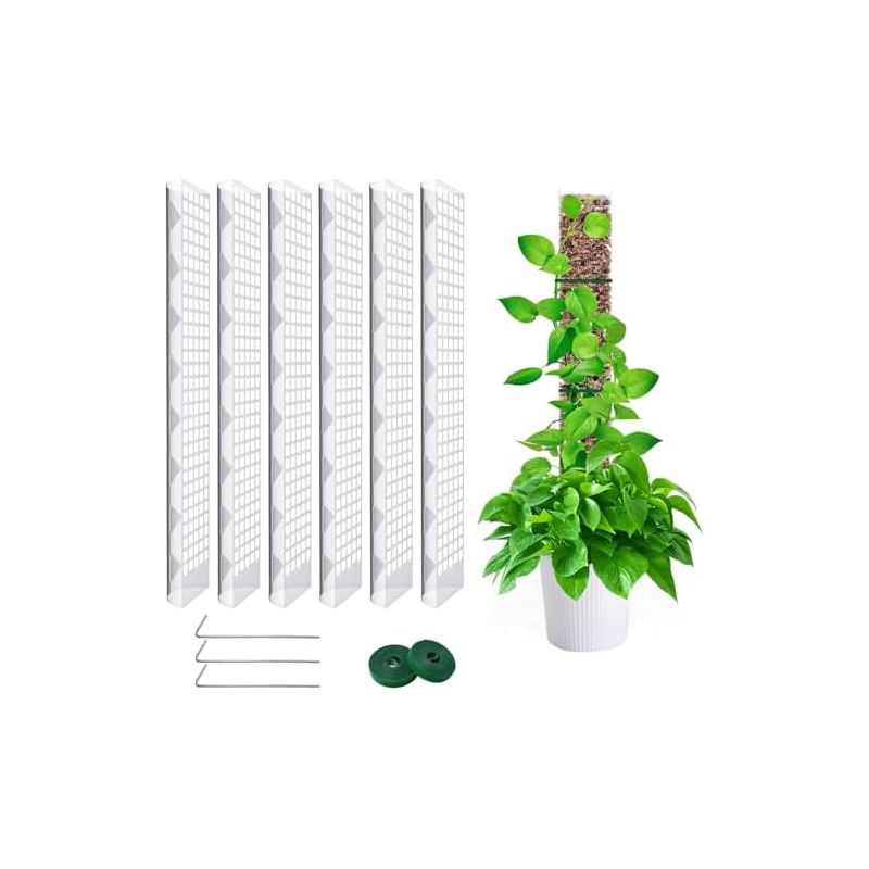 6 Stück 60 Cm Lange Sphagnummoos-pflanzenstützen, Monstera-pflanzenstützen, Moosstäbe Für Haus, Garten Und Kletterpflanzen – 60 Cm