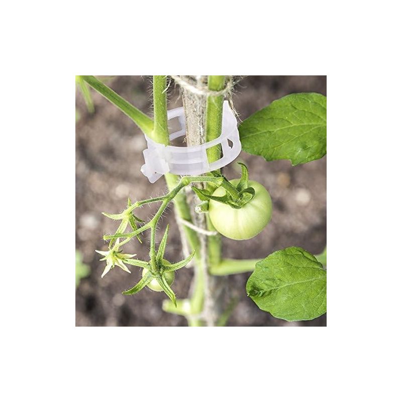 100 Tomatenclips Für Pflanzen, Kletterclips, Gartenclips Aus Kunststoff Für Gemüse, Pflanzen, Tomaten – Weiß