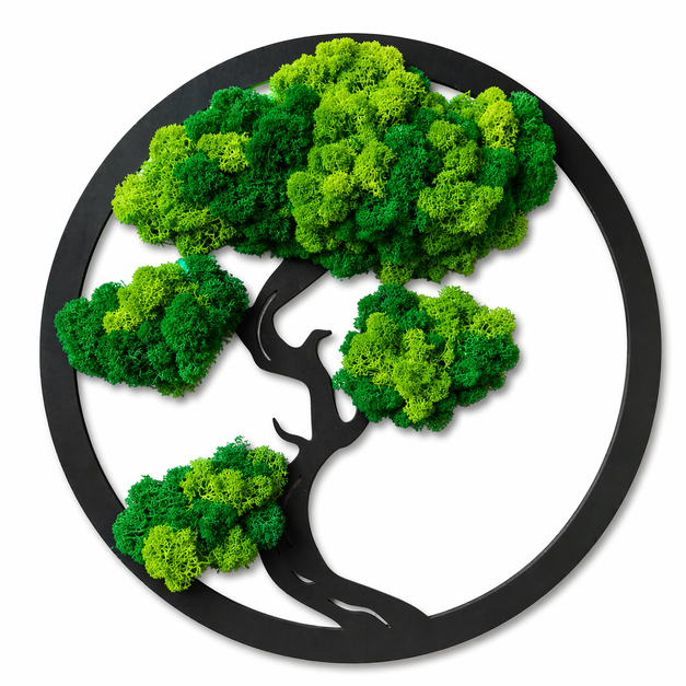 Moos-bonsai-baum