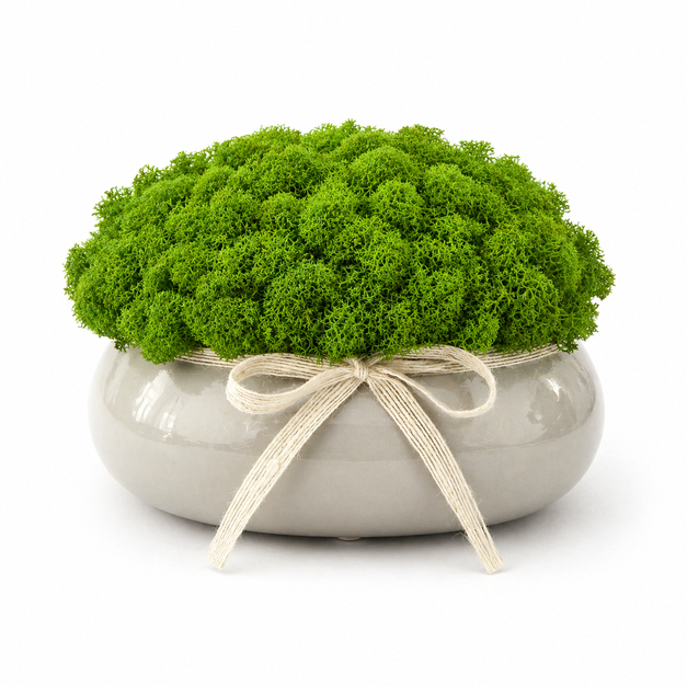 Grauer Ovaler Blumentopf Mit Moos