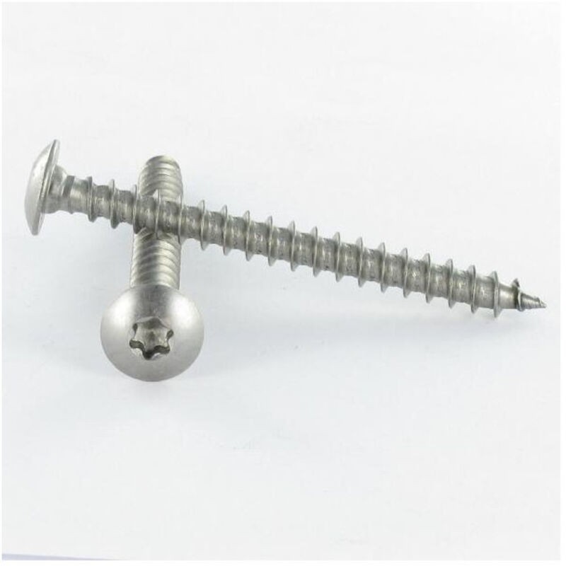 Scharnierschrauben 6x40 Torx T30 Vollgewinde Edelstahl A4 - 100 Stück