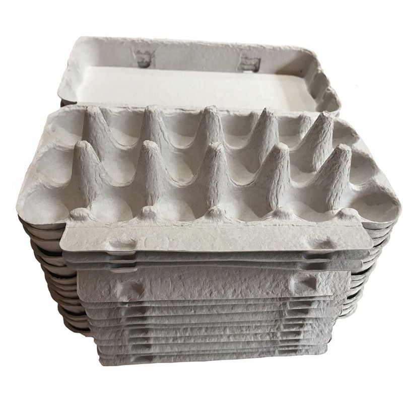 Packung Mit 20 Kartonverpackungen Für Wachteleier - Packung Mit 20 Kartonverpackungen Für Wachteleier