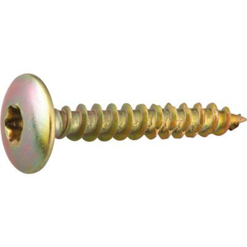 Scharnierschraube – Viswood – Zylinderkopf Mit Gewölbtem Kopf – Tx – Verzinkter Stahl – 5 X 50 Mm – Packung Mit 250 Stück