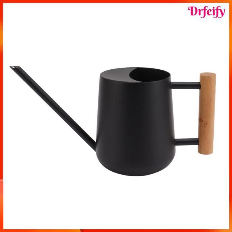 Gießkanne – 900 Ml – Edelstahl – Langer Ausguss – Holzgriff