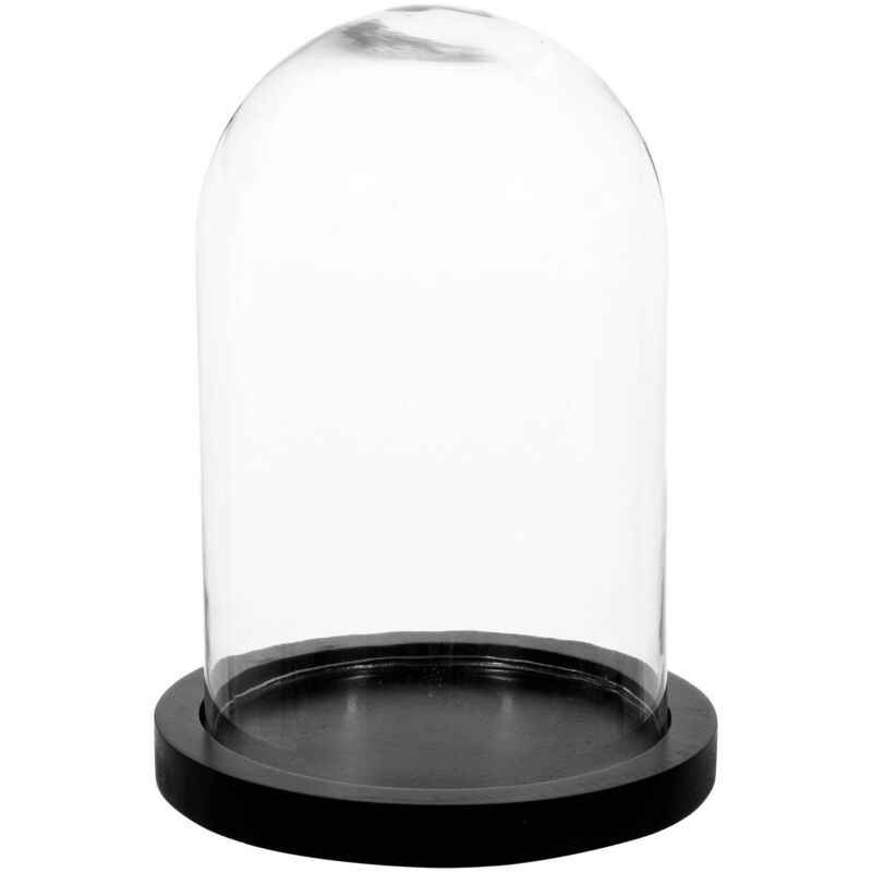 Glaskuppel, Ø 18 Cm, Schwarzer Sockel - Glaskuppel, Ø 18 Cm, Schwarzer Sockel - Glaskuppel, Ø 18 Cm, Schwarzer Sockel