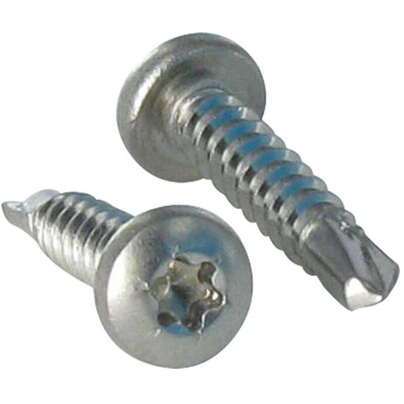 Selbstbohrende Schraube, Gewölbter Zylinderkopf, Tcb Torx T25, 4,8 X 19, Edelstahl A2 – 200 Stück