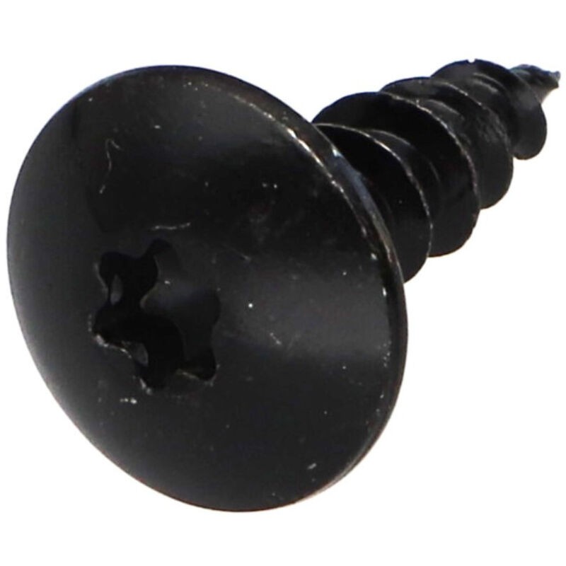 Scharnierschraube 6x25 Vollgewinde Torx T30 Schwarz Verzinkter Stahl - 1 Stück