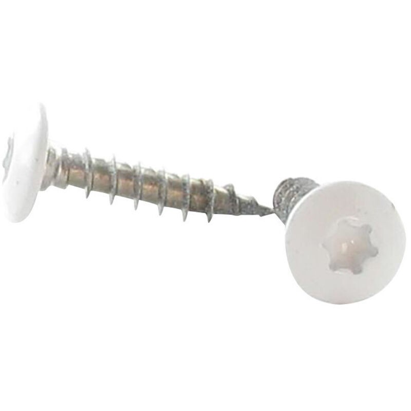 Scharnierschraube 6x30 Vollgewinde Torx T30 Edelstahl A2 Weiß Lackiert Ral9016 Signalweiß - 100 Stück