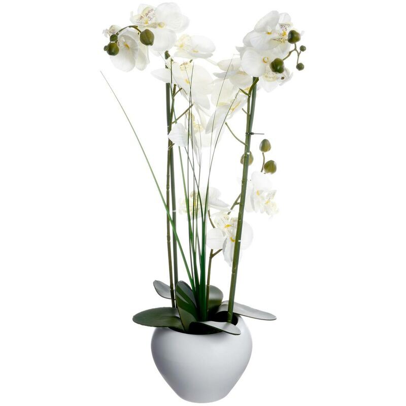 Künstliche Orchidee In Einem Weißen Keramiktopf, 53 Cm Hoch - Atmosphera