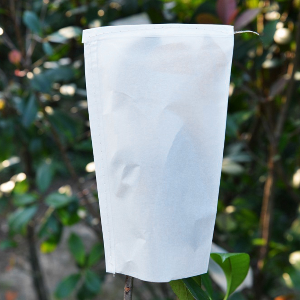 Pergamentbeutel Zur Aufbewahrung Von Gemüsesamen Für Den Hausgarten (50 Stück, 30 X 17 Cm)