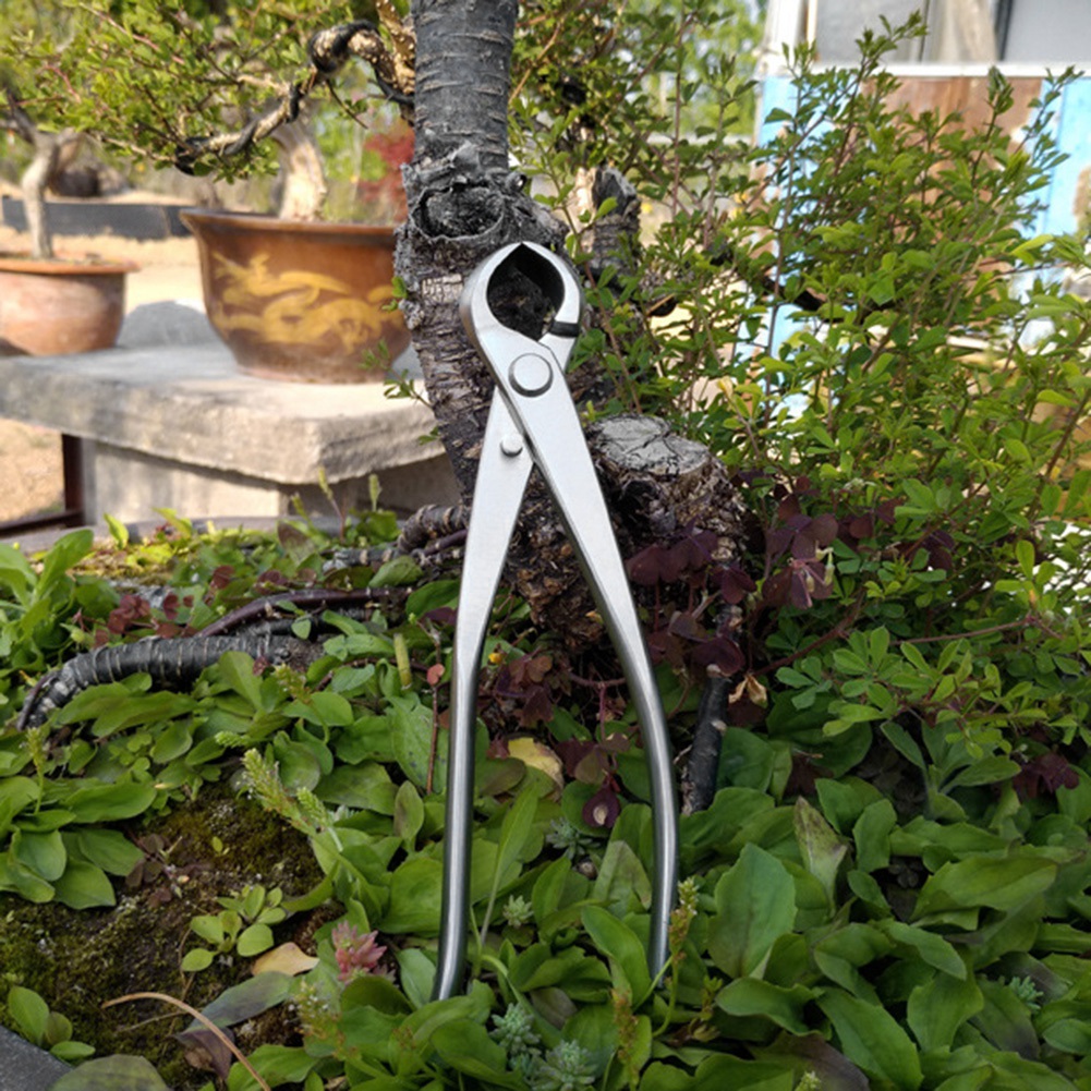 180 Mm Edelstahl-kugelschere Mit Knauf Für Landschaftsgestaltung, Garten- Und Bonsaiarbeiten