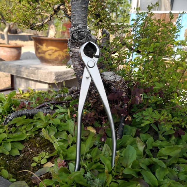 180 Mm Edelstahl-kugelschere Mit Knauf Für Landschaftsgestaltung, Garten- Und Bonsaiarbeiten