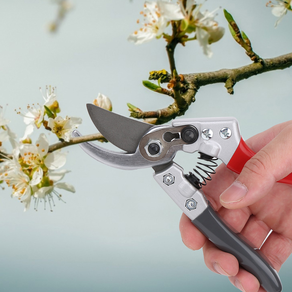 Gartenschere Zum Beschneiden Von Bäumen, Ästen Und Zweigen, Bonsai-schere, Zubehör