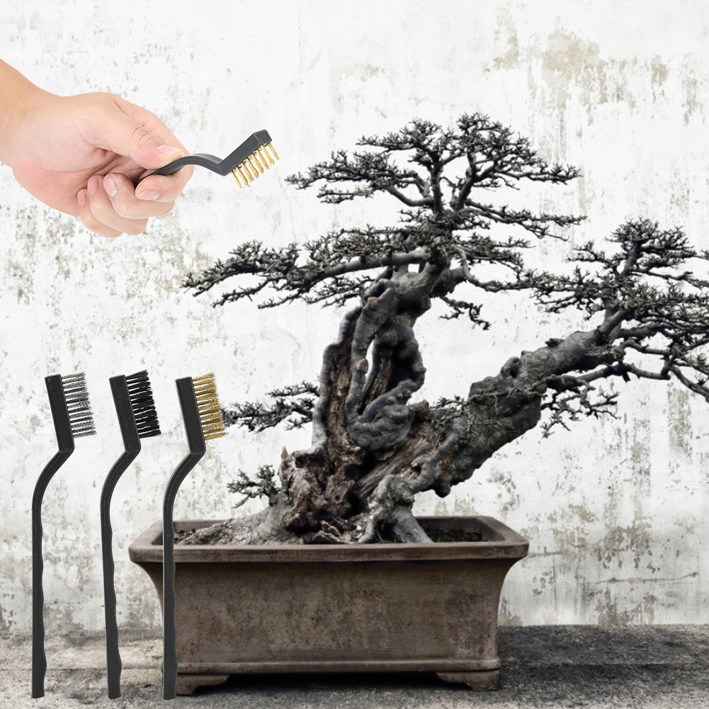 3-teiliges Mini-drahtbürsten-set Mit Kunststoffgriff Zur Reinigung Von Baumstämmen, Astgabeln, Bonsai-bürsten Und Gartenreinigungswerkzeugen