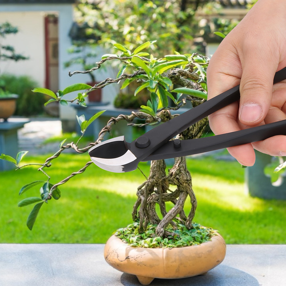 Handgeschmiedeter Bonsai-astschneider Mit Konkavem Rand, Gartenschere, Modellierwerkzeug