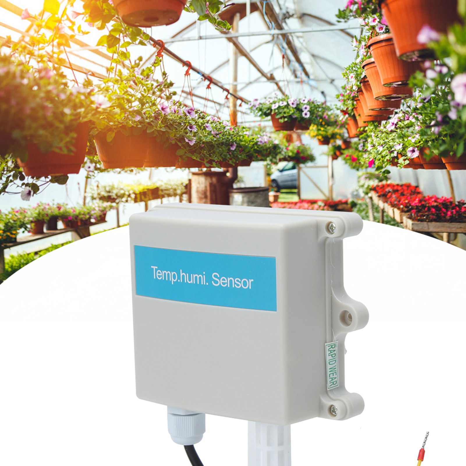Wandmontierter Temperatur- Und Feuchtigkeitstransmitter-sensor Für Temperatur- Und Feuchtigkeitsmessungen In Gewächshäusern