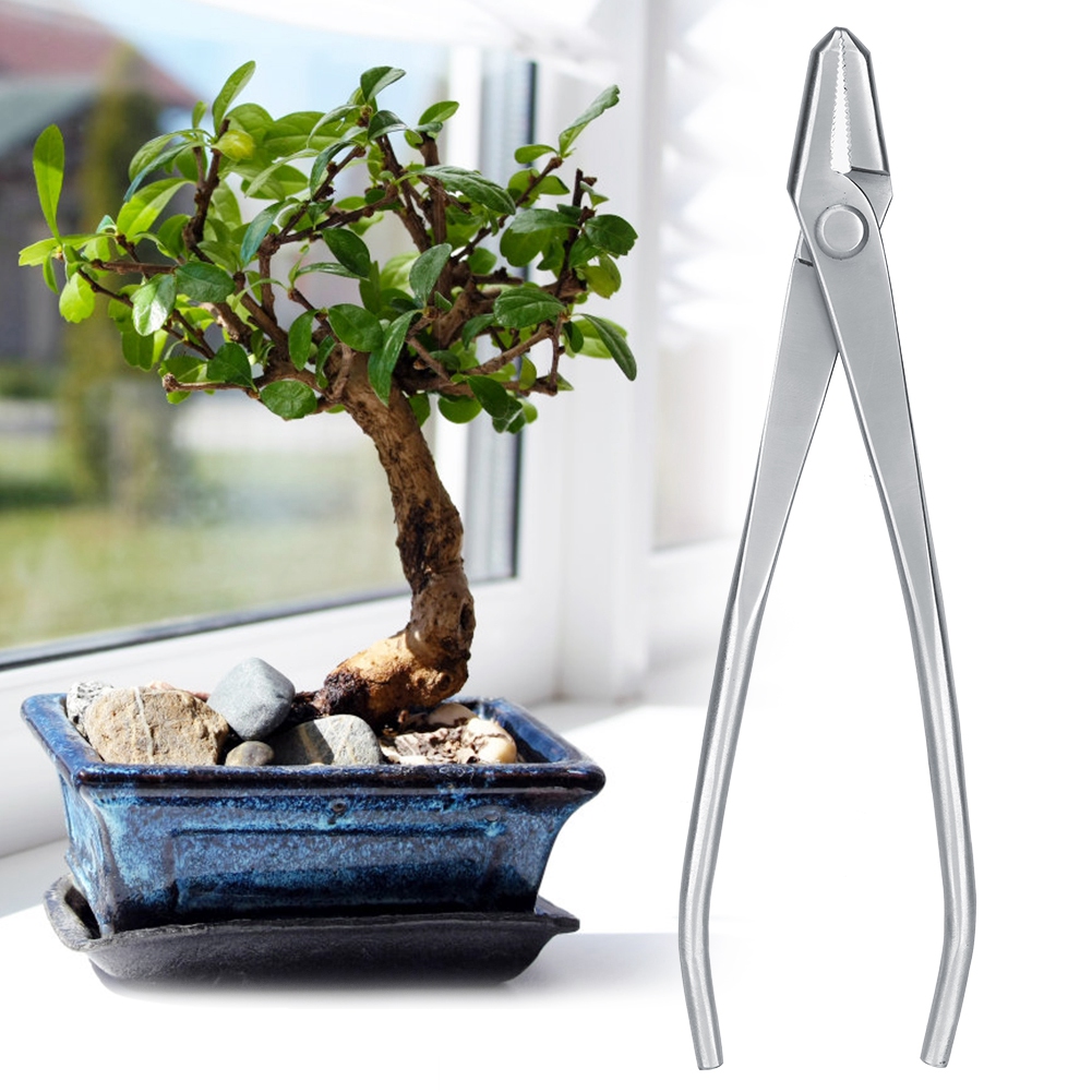 Gartenpflege-knopfschneider Aus Edelstahl, Bonsai-modellierwerkzeug