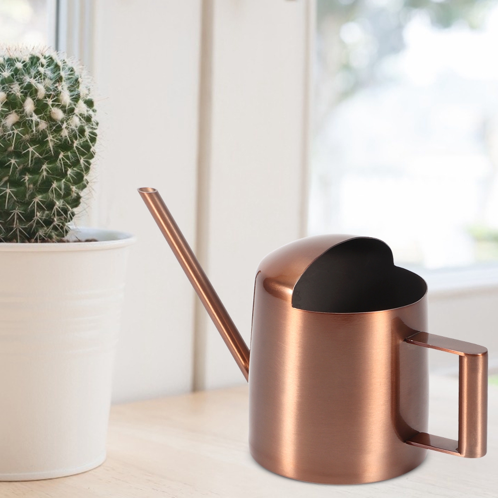 Kleine 300-ml-gießkanne Aus Edelstahl Mit Langem Ausguss Für Pflanzen Und Blumen, Ideal Für Den Hausgebrauch.