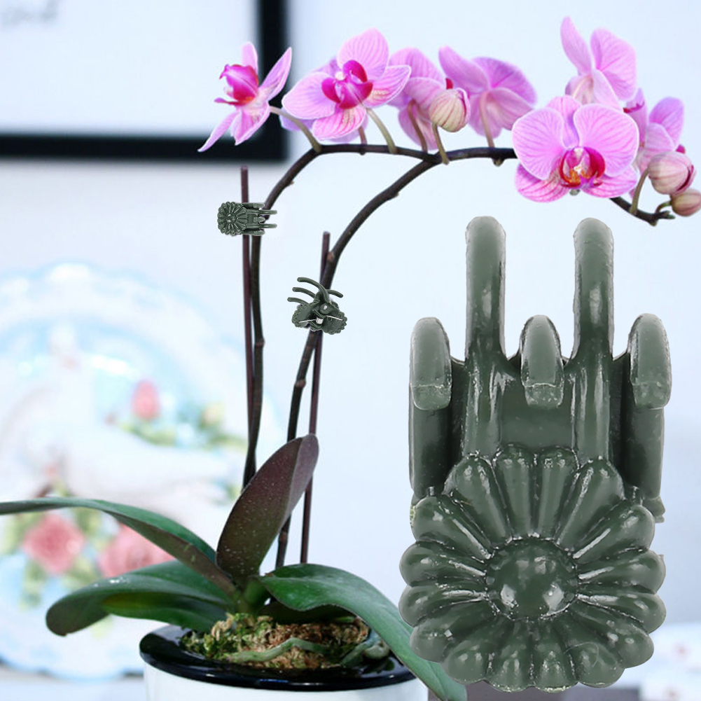 100 Pflanzenclips In Schöner Chrysanthemenform Zur Befestigung Von Gartenblumenstängeln (ohne Stifte)