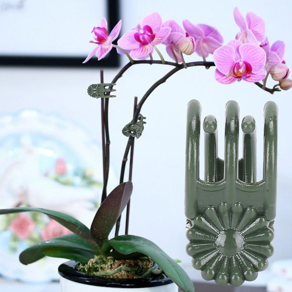 100 Stück Pflanzenclips In Schöner Chrysanthemenform Zur Befestigung Von Gartenblumenstängeln Mit Stift Im Clip