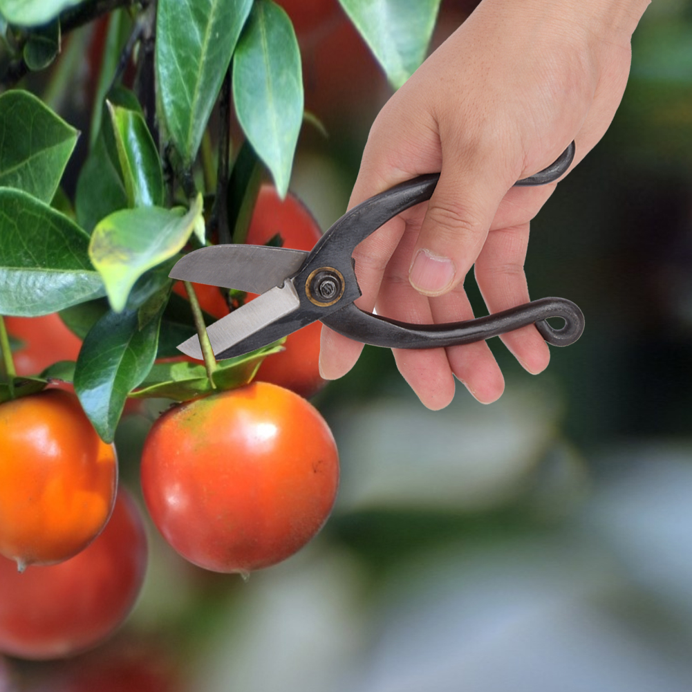 Robuste Bonsai-schere Aus Stahl, Gartenschere, Blumenbindewerkzeug, Typ 3